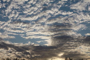 故 鄉(xiāng) 的 云專(zhuān)輯 三江源t